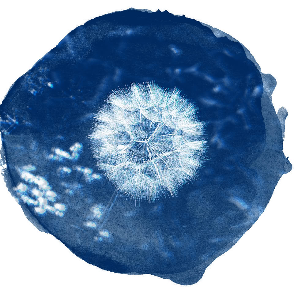 Image circulaire bleu avec un motif blanc au centre, ressemblant à une fleur ou une étoile.