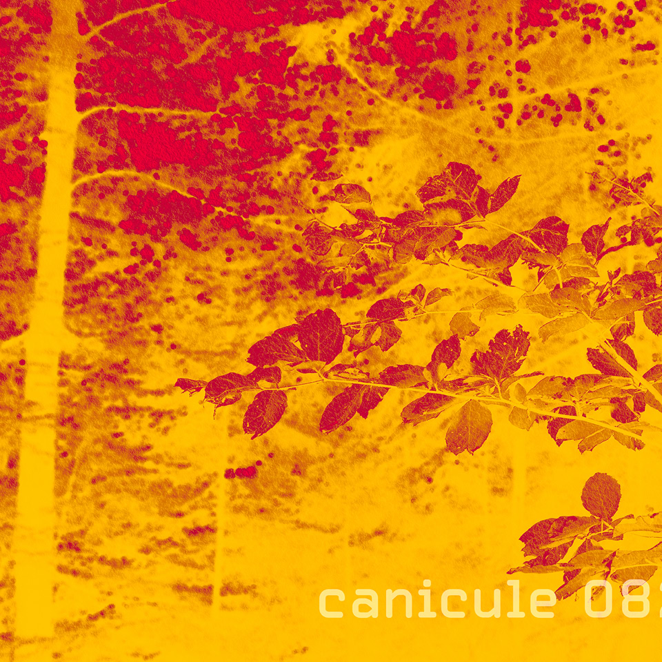 Image de feuilles et d'un tronc d'arbre avec un effet de couleur rouge et jaune, texte "canicule 0823" en bas à droite.