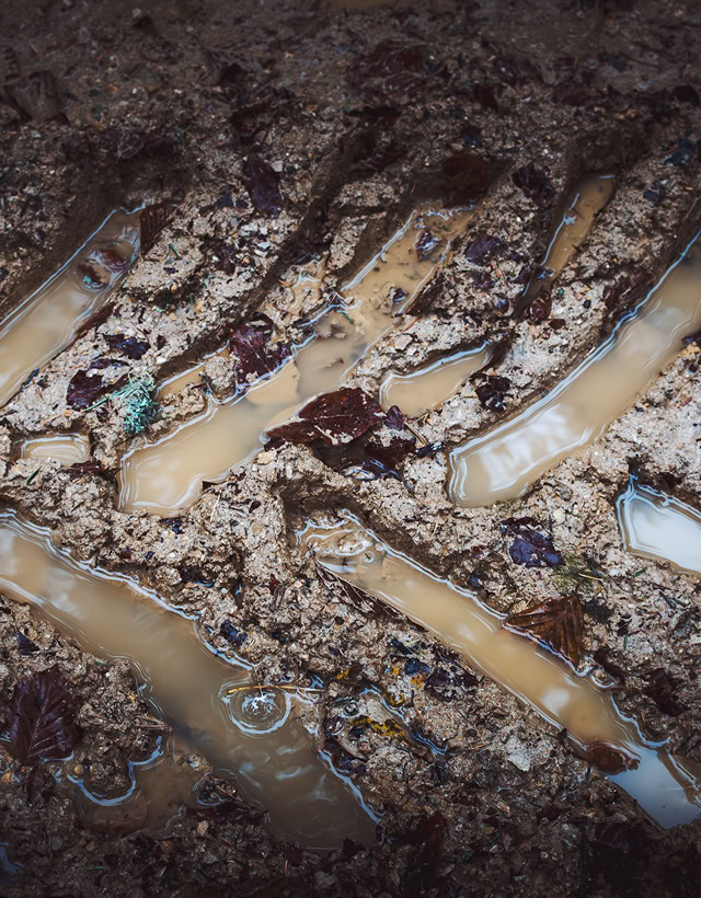 Traces de pneus de tracteur sur un chemin forestier du jura neuchâtelois