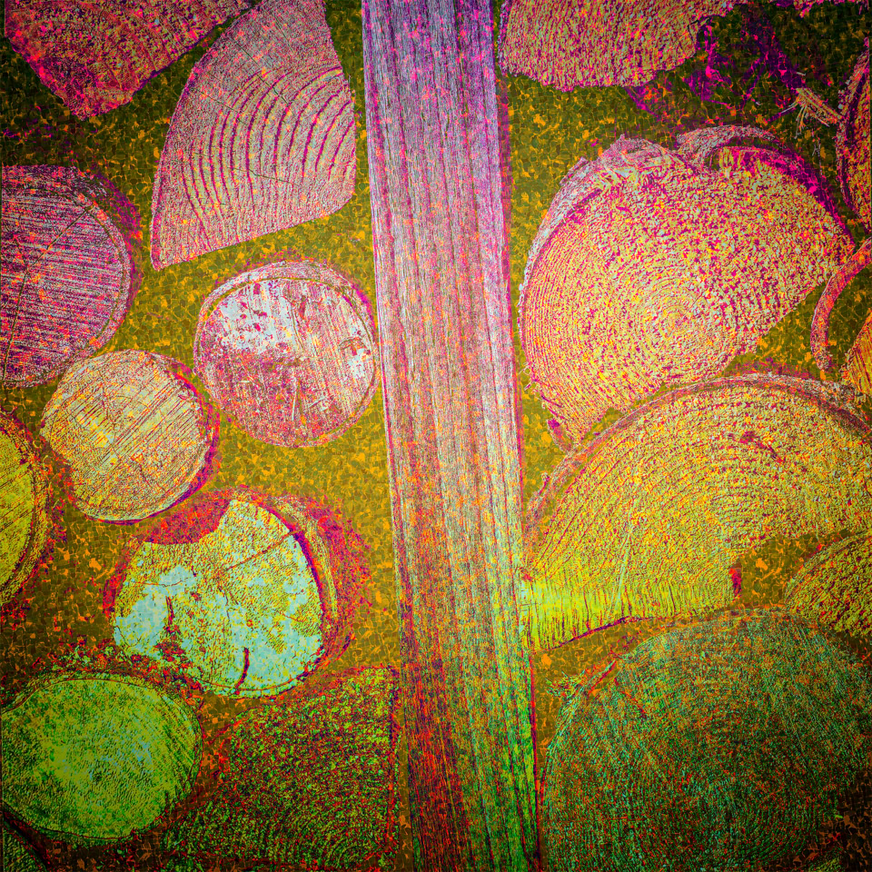 Motifs circulaires et rectangulaires colorés dans des tons de rose, vert et jaune.