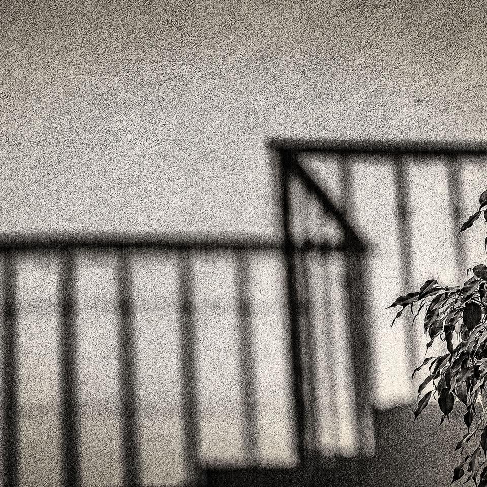 Ombre d'une balustrade sur un mur avec un feuillage à droite.
