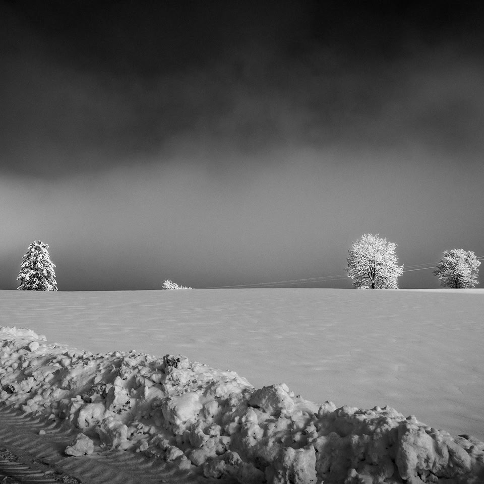 Paysage enneigé avec des arbres givrés sous un ciel nuageux.