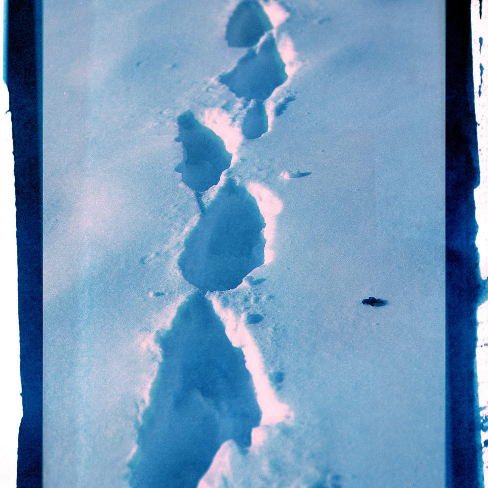 Empreintes de pas dans la neige.