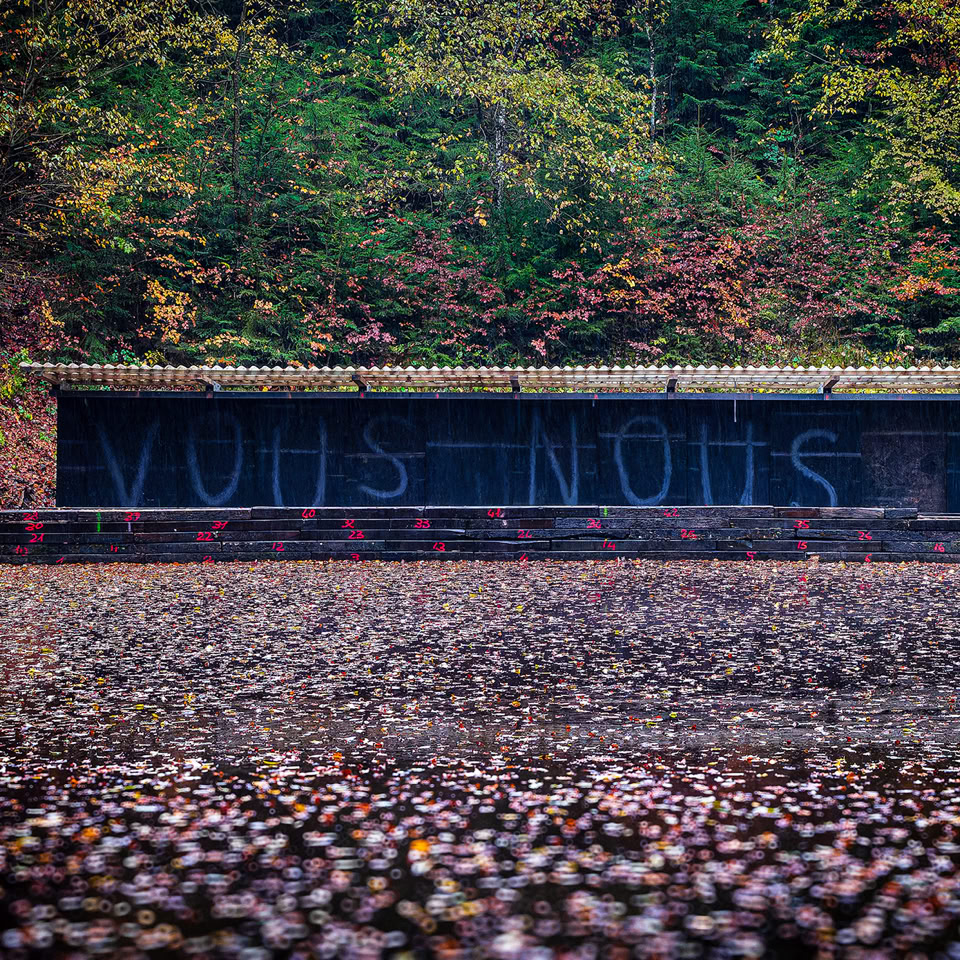 Mur avec graffiti entouré de végétation et sol couvert de feuilles mortes.