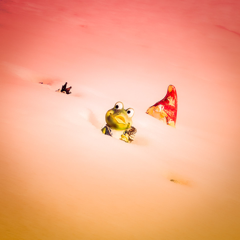 Une petite figurine de grenouille verte sur une surface beige avec un champignon rouge à droite et une mouche à gauche.