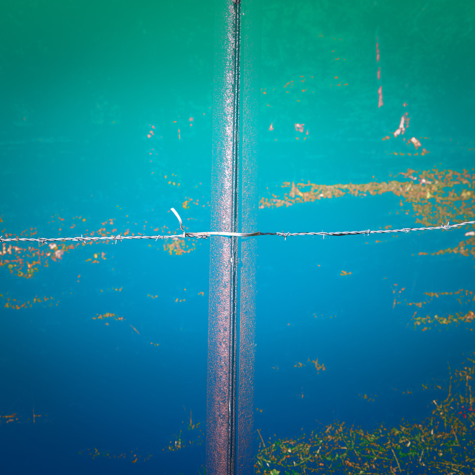 Image d'une surface d'eau avec une ligne de démarcation horizontale, montrant des algues et des plantes aquatiques sous l'eau.